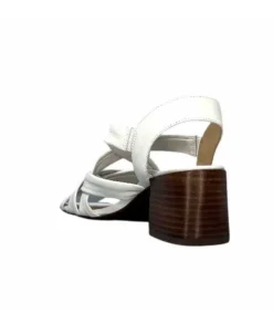 Ivoire0236a Ivoire 269 Pisa 3 Cuir Blanc*Femme Sandales