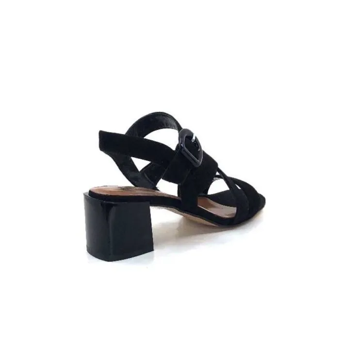 Ivoire0334 Ivoire F2063 Sardegna Daim Noir*Femme Sandales